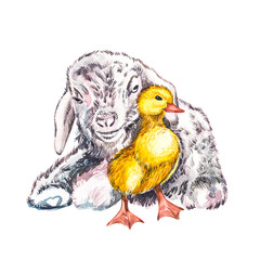 Duckling and goat watercolor illustration. Easter set. Hand painted card with traditional symbols isolated on white background.