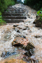 Stone in the Rain