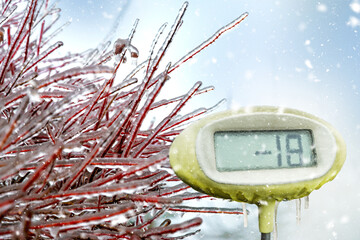 Branches encased in ice with thermometer showing minus 18 degrees. Freezing rain on tree branch and thermometer