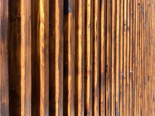 wood aspect macro photo caption