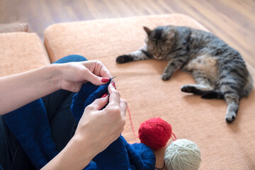 Close-up female hands with balls of yarn, with knitting needles and a cat in the background