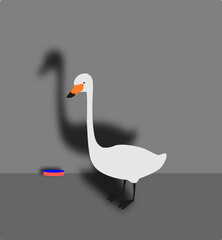 standing swan on grey background