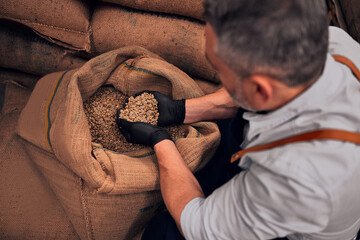 Coffee - farmer holding raw coffee bean, bag of coffee bean in the background, selective focus. Top...