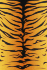 Tiger skin design