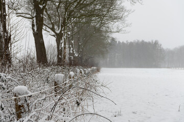 Fence in winter landscape