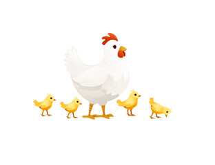 Cute white chicken with chicks farm agriculture hen rooster cartoon animal design vector illustration