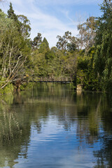 Fototapeta na wymiar Beautiful lake in Curia park. Parque das Termas da Curia, Portugal
