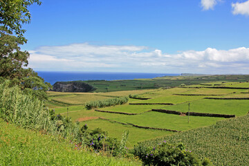 Fototapeta na wymiar east coast of Terceira, Azores