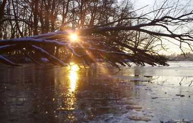 Winter sunset with reflection of sunlight on ice on the frozen lake