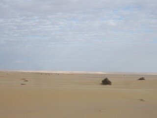 Vue sur le désert avec ciel nuageux