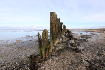 Wooden groyne in the shallow waters and a beautiful panoramic view - Wadden Sea, The Netherlands.