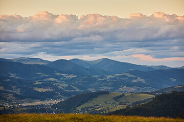 Obraz premium gorgeous foggy sunrise in Carpathian mountains. lovely summer landscape of Volovets district. purple flowers on grassy meadows and forested hill in fog.