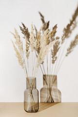 Pampas grass branches in vase on pastel neutral beige background with sun light and trendy shadow....