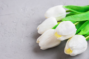 Fototapeta na wymiar bouquet of white tulips on concrete background or surface, the concept of women's holiday or gift for woman