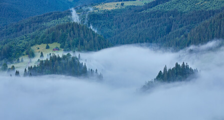 Landscape with fog in mountains
