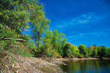 Summer landscape on the river bank