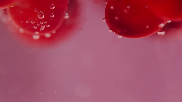 cranberry berries filled with boiling water turn the water red. rich therapeutic healthy decoction of viburnum berries. close - up macro