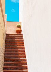 Tile staircase between two walls, with a cactus plant in pots placed on the right side. Typical...
