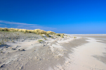 the dunes, Renesse, the Netherlands