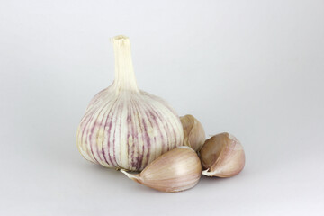 Obraz premium garlic 