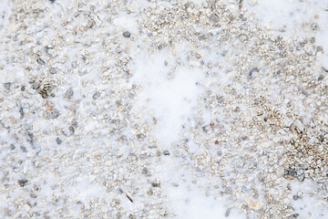 small stones under the  snow