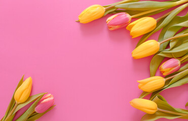 yellow tulips on a pink background, space for text top view.