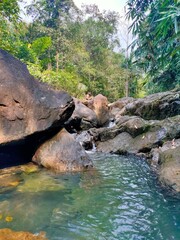 elephant in the river