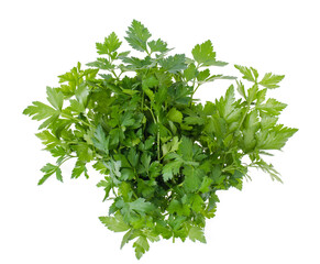 Bunch of fresh green organic parsley, vegetables and herbs