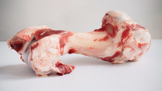 Close-up large raw bone of big animal cow or pig on white background. Bone for cooking broth. Food for dogs.