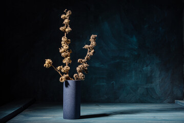 The branches with Dry fruits and seeds of mallow on a wooden background.
