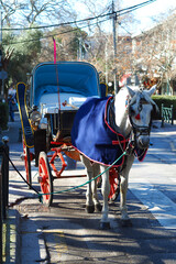 Detail photo of historic traditional horse and vintage horse carriage parked in Kifisia district,...