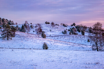 The Lueneburg Heath Nature Park in winter (German: Naturpark Lüneburger Heide) in Lower Saxony,...
