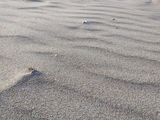 Fototapeta na wymiar footsteps on the sand