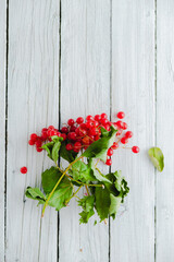 Ripe viburnum berries on a white old wooden background
