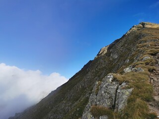Mountain treasures
