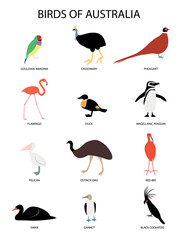 Set with birds of Australia -gouldian amadina, flamingo, cassowary, duck,pheasant, magellanic penguin, pelican, swan, ostrich emu. gannet, red ibis, black cockatoo.