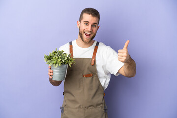 Gardener caucasian man holding a plant isolated on yellow background with thumbs up because...