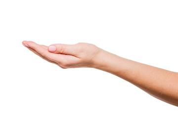 Female hand on a white background. A beautiful womans open hand isolated on white background. Palm up