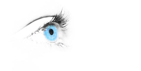 Sight. Blue eye isolated. Black and white with blue. Macro. The background is white.