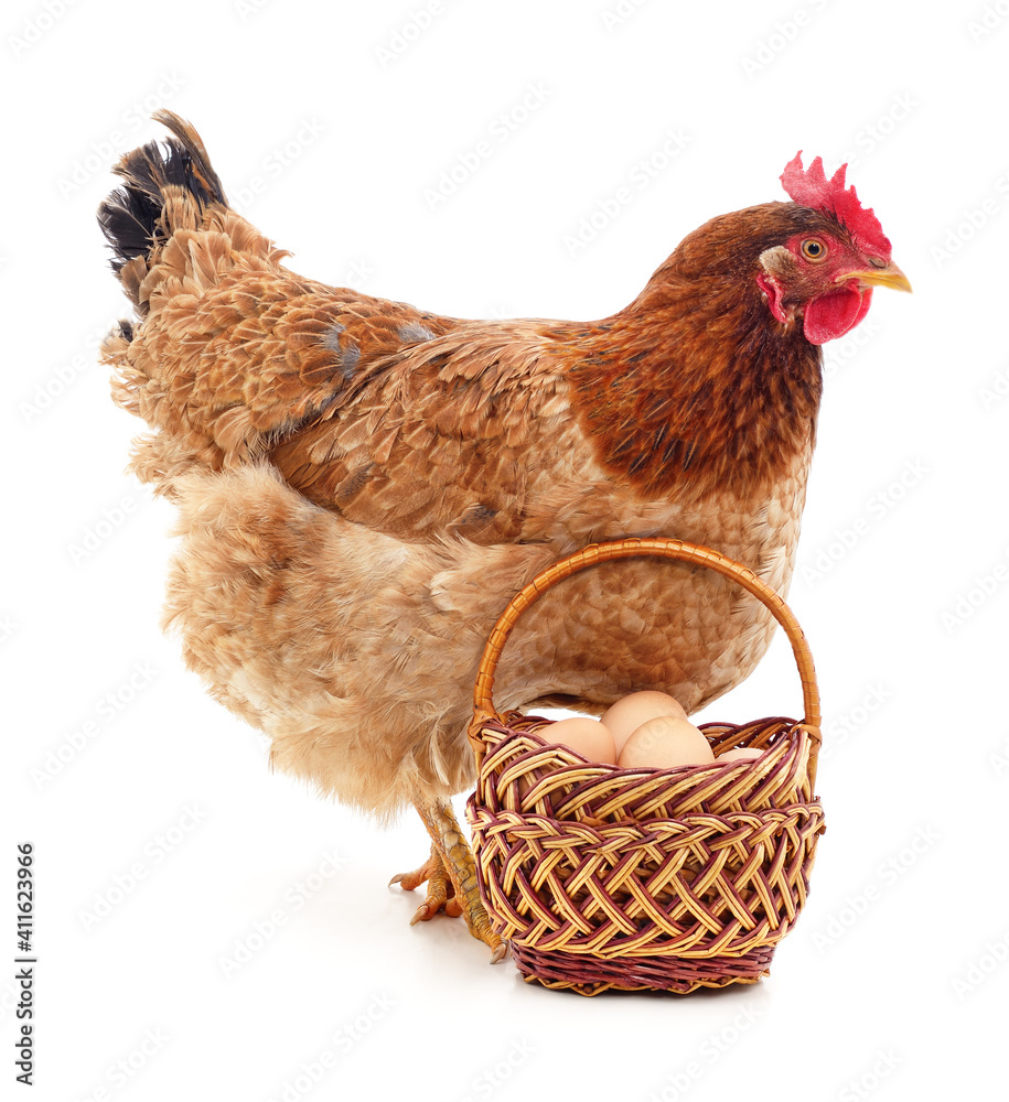 Sticker chicken and basket with eggs.