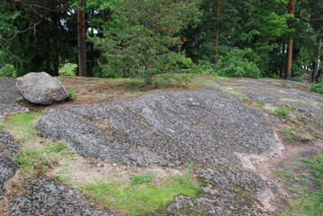 A granite rock overgrown with grass and trees. Summer day, a large garnit rock, part of the surface