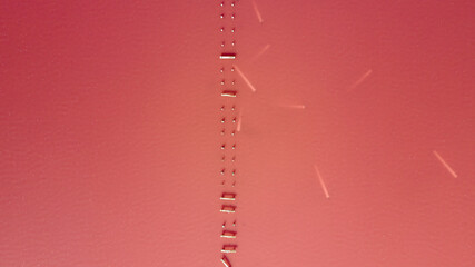 Close-up top view on wooden weathered trunks in pink salt lake. Ruins of salt-mining structures.