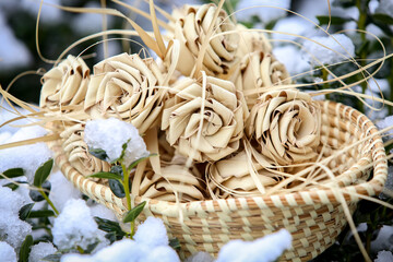 Fototapeta premium Palmetto roses in snow