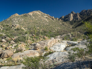 Beautiful and serene Desert landscape