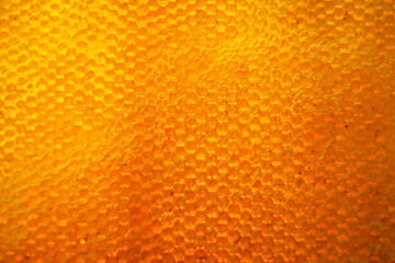 Drop of bee honey drip from hexagonal honeycombs