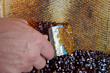 Drop of bee honey drip from hexagonal honeycombs