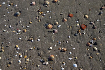 plage occitanie