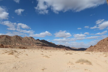 Fototapeta na wymiar empty desert road between the hills and mountains in Sinai in Egypt