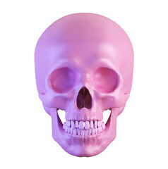 human pink skull isolated on white, front view, 3d render