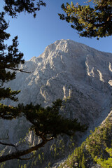 the gorge of Samaria on Crete island (Greece)